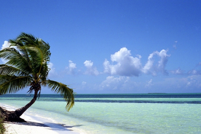 Cayo Guillermo, Varadero & La Habana - Mayo y Junio - Lomas Turismo