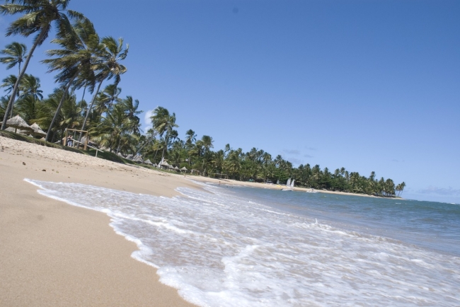 DISFRUTA PRAIA DO FORTE / FEBRERO!!