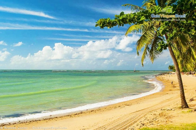 FEBRERO VIAJA A MACEIO!!